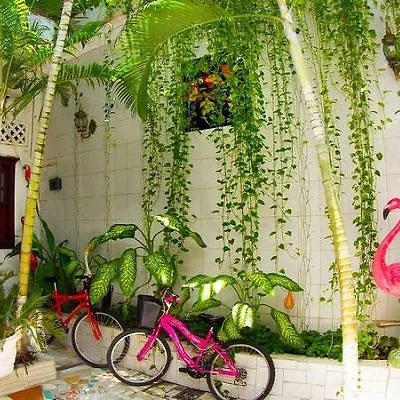 Marlin Hostel Cartagena